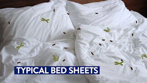 Portfolio image Miracle Sheets